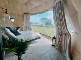 Mountain Forge Escape Glamping/Camping site