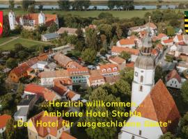 Ambiente Hotel Strehla，位于Strehla的酒店