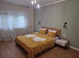 Apartament Alena Oradea，位于奥拉迪亚的酒店