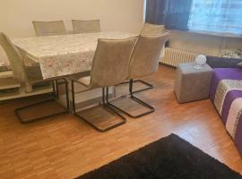 3 und halb zimmer Wohnung Birsfelden，位于比尔斯费尔登的酒店