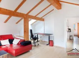 Apartment LICHTENSTERN