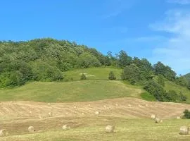 Agriturismo Bordigaie