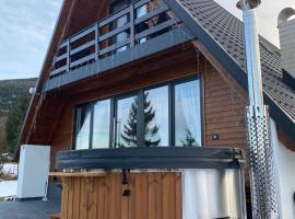 Cabana Carpatina，位于博尔沙的住宿