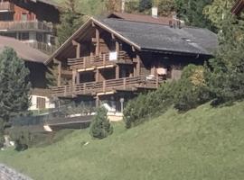 Chalet Orchis，位于Hasliberg Wasserwendi的酒店