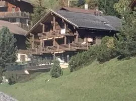 Chalet Orchis