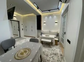 Megaplanet Apartments