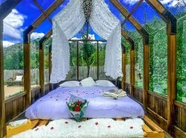 Chalet en verre sous une pluie étoilée