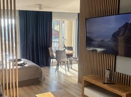 Apartament Nova Starówka，位于科宁的酒店