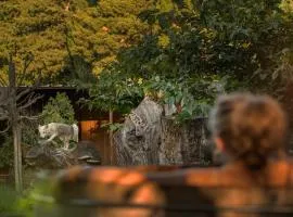 Les Animaux et Marino