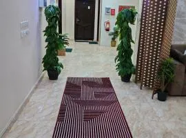 شقة فاخرة بغرفة نوم وصالة تلفزيون