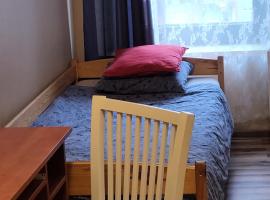 Hostel Gliwice Centrum PARKING，位于格利维采的酒店