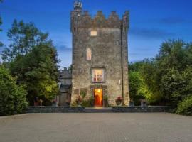 Moyvannan Castle on 7 Acres，位于罗斯康芒的酒店