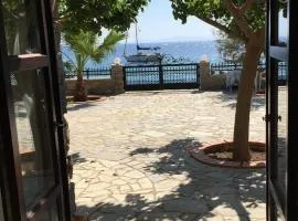 Sea You - Apartments Sea Shell