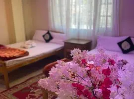 Hotel Z Adarash