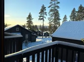 Fjällbädden Idre Ski-in Ski-out 9