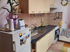 Apartman Pašićeva，位于洛兹尼察的酒店