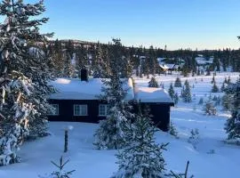 Sjusjøstua by Norgesbooking - cabin close to cross country trails