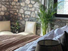 Wood & Stone Guesthouse，位于Khrisov&iacute;tsion的宠物友好酒店