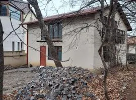 Tskneti