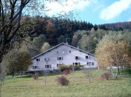 CHALET, GITE DE GROUPE - ATC ROUTES DU MONDE à BUSSANG - 32 couchages，位于比桑的酒店