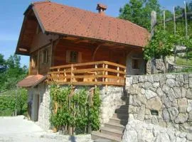 Holiday home in Otocec - Kranjska (Krain) 33898
