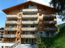 Flat in Nendaz near Ski Lift & Slopes