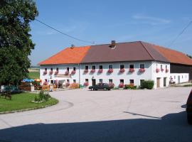 Gasthof Franzosenhof，位于Wullowitz的酒店