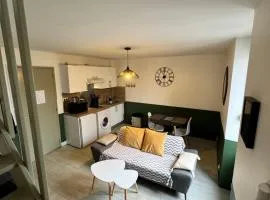 Joli Duplex - centre ville - Verde