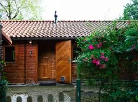 Sfeervol houten huisje met omheinde tuin op de Veluwe