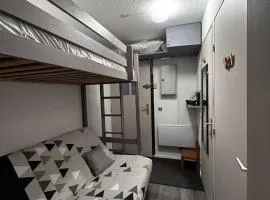 Le Bouquetin au coeur de la station