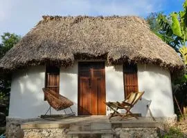 Cabañas Los Gallitos Ecolodge