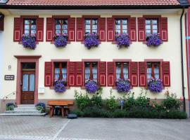 Haus am Bühl，位于黑林山区舍瑙Horn Ski Lift附近的酒店
