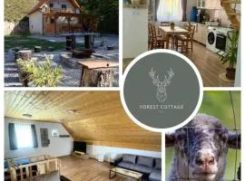 Forest Cottage 2024