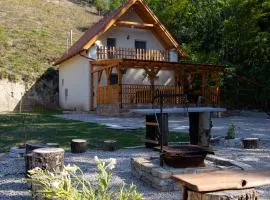 Forest Cottage 2024