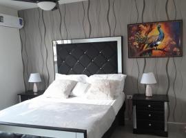 Deluxe One Bedroom Apartment in Kingston，位于金斯敦的酒店