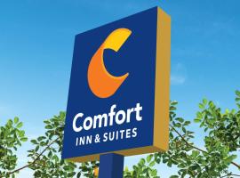 Comfort Inn & Suites，位于萨凡纳萨凡纳/希尔顿黑德国际机场 - SAV附近的酒店