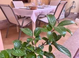 Cozy house with terrace in Pula, 85 m², garden