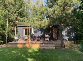 Chalet Het Gewei，位于Rotsterhaule的木屋