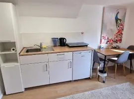 Modernes Untergeschoss-Apartment