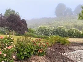 Vista Vine Cottage