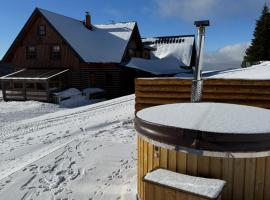 Hotel Vydrovy boudy Pec pod Sněžkou，位于派克波特斯耐兹库的带泳池的酒店