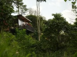 Reverie Hotel