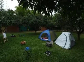 Suggee Resort