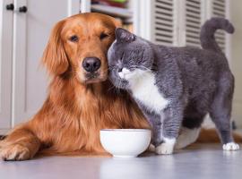 Il villaggio albergo 100 mt dal mare Cilento Coast Marina Palinuro，位于斯卡里奥的酒店