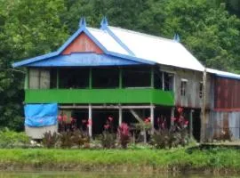 Berua homestay Rammang Rammang