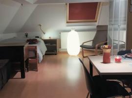 Cosy apartment in Brasschaat near Antwerp，位于布拉斯哈特的酒店