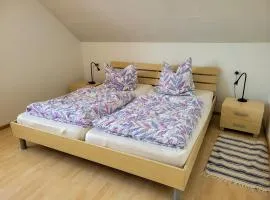 Ferienwohnung Rhönnest mit großer überdachter Terrasse