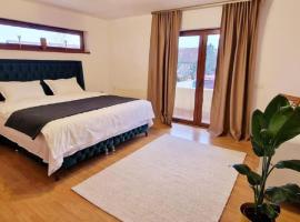 Erik's House Apartaments，位于Ghiroda的酒店