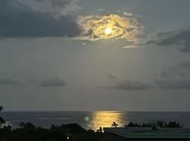 Keauhou Akahi 208