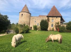 Appartement Château de Corcelle，位于Bourgvilain的酒店